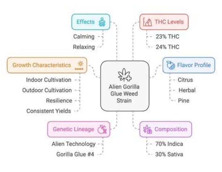 Gorilla Glue Weed: The Ultimate Guide to Its Origins, Effects, and Uses