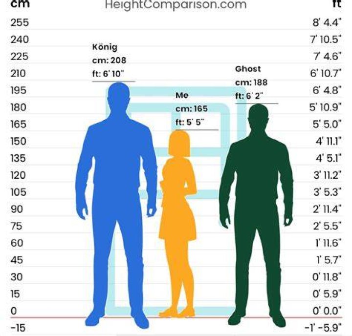 How Tall is Konig: Unveiling the Height of a Rising Star