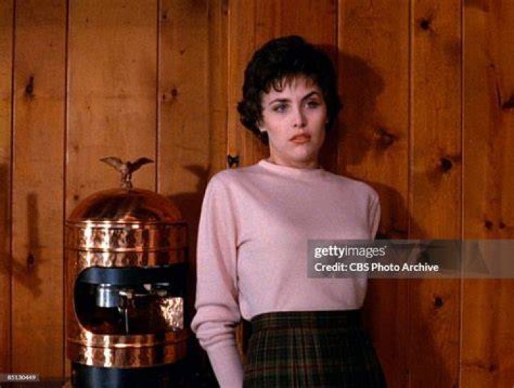 Sherilyn Fenn: The Iconic Actress Behind Audrey Horne