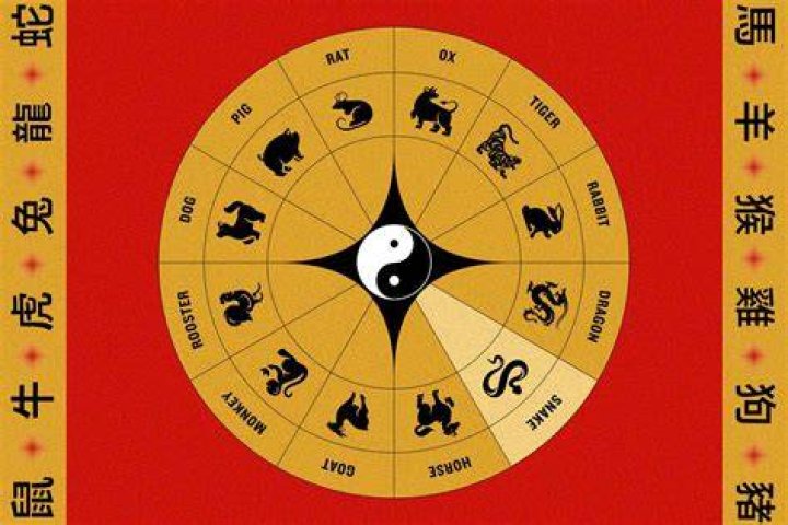 Year of the Snake 1965 Element: A Comprehensive Guide to Understanding Its Significance